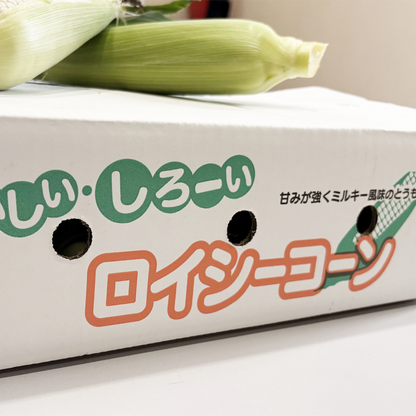 とうもろこし 【ロイシーコーン】